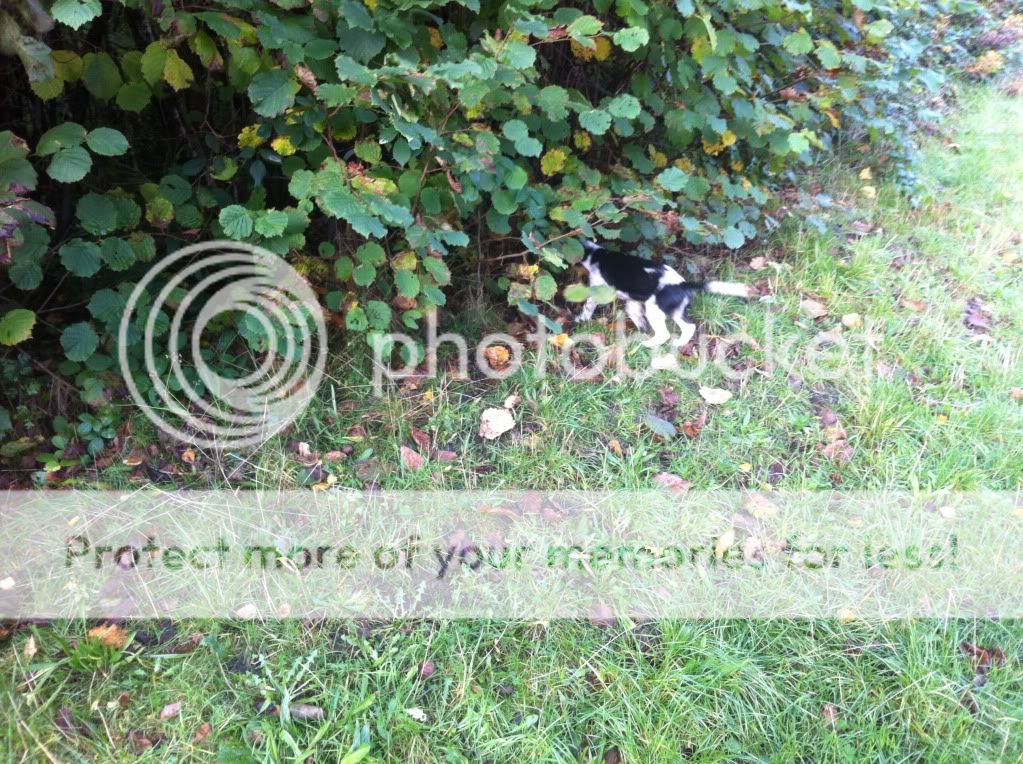 50BDE9F6-0BE6-407E-822D-0DDD0A5B4B5E-300