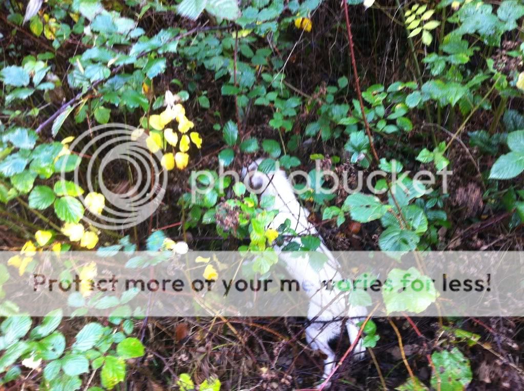 FD7E726D-20AF-4F0D-BFC2-CA5BEDAA742D-300