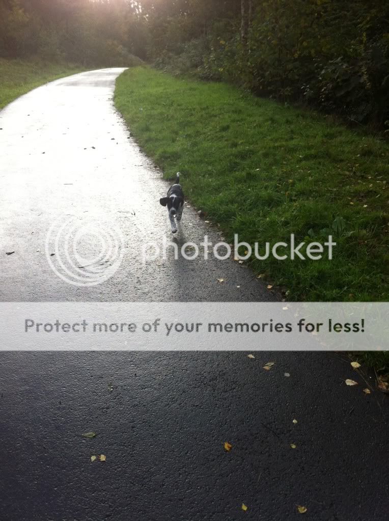 FE184A4C-7791-411C-A801-2BEE69421A0D-300