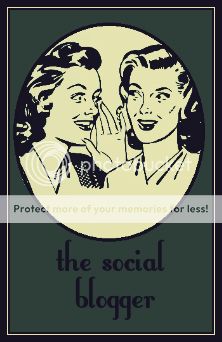 The Social Blogger The Social Blogger