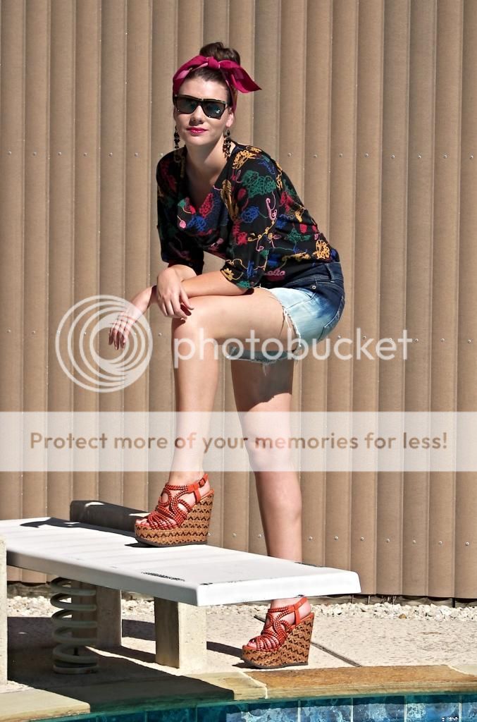  photo 101_1609_zps1b879c76.jpg