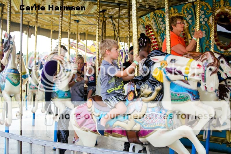 photo IMG_3029_zps985a0b71.jpg