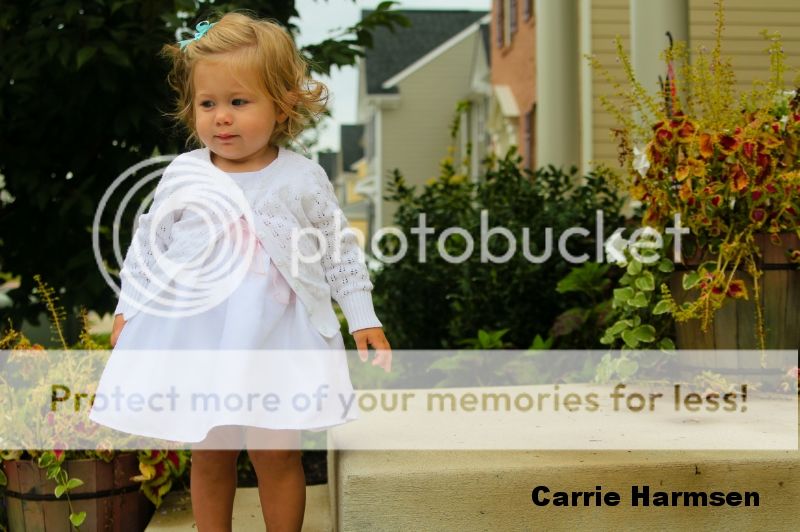 photo IMG_3452_zpsce6fcafd.jpg