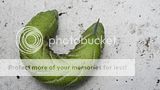 http://i1345.photobucket.com/albums/p677/LuluTheLurcher/th_IMG_0521_zpsf9f6e896.jpg?t=1379513555