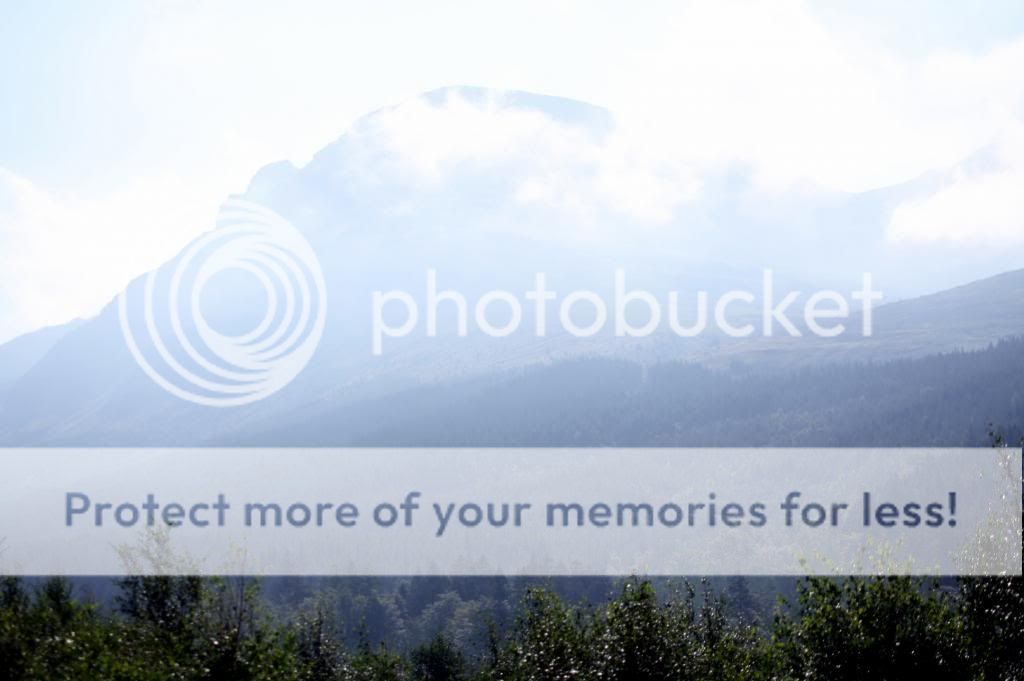 canon1006_zps4d739a5d.jpg