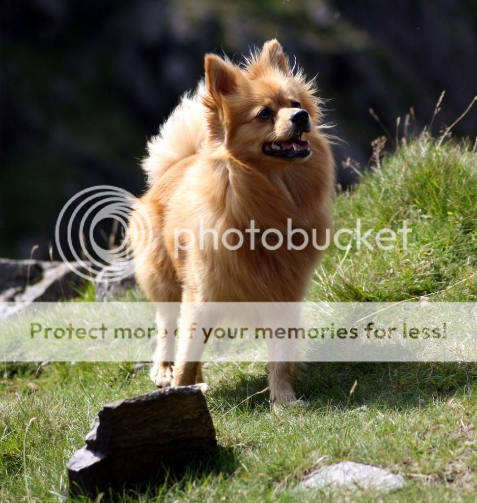 canon1053_zpsdfca22e9.jpg