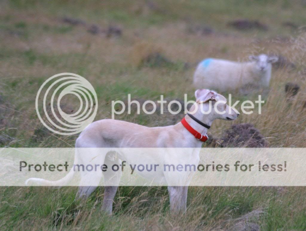 canon1379_zps6c992ff8.jpg