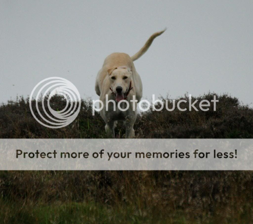 canon1385_zps2e64381a.jpg