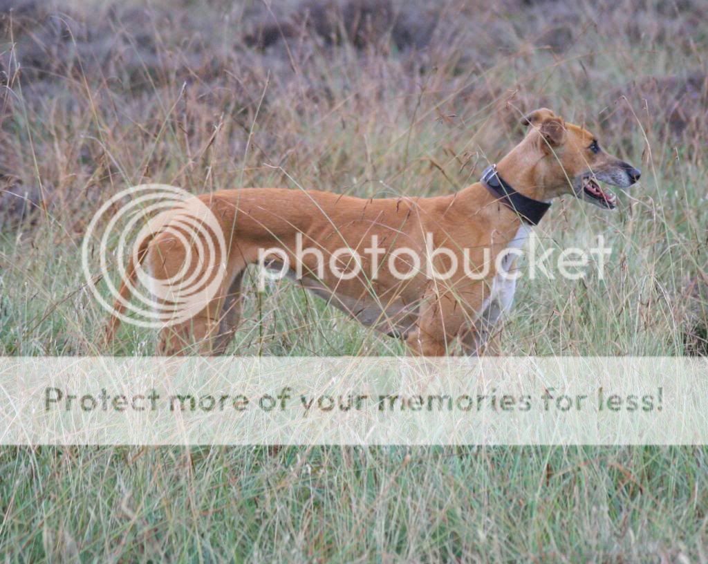 canon1390_zps47563b8a.jpg