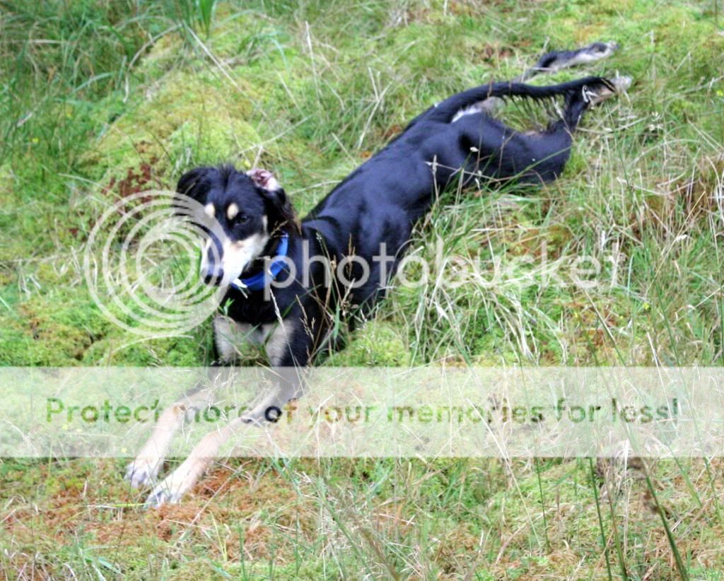 canon1447_zpsf436e9cf.jpg