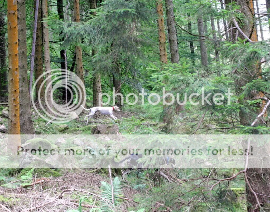 canon1465_zps6a89d887.jpg