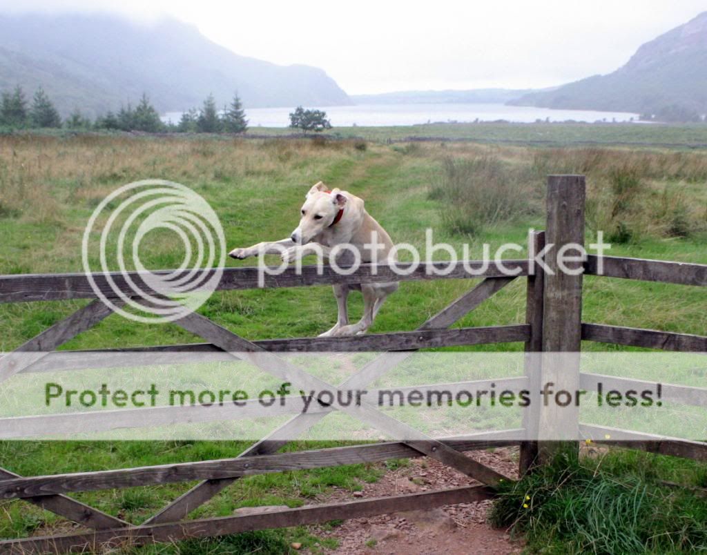 canon1475_zps19b531cd.jpg