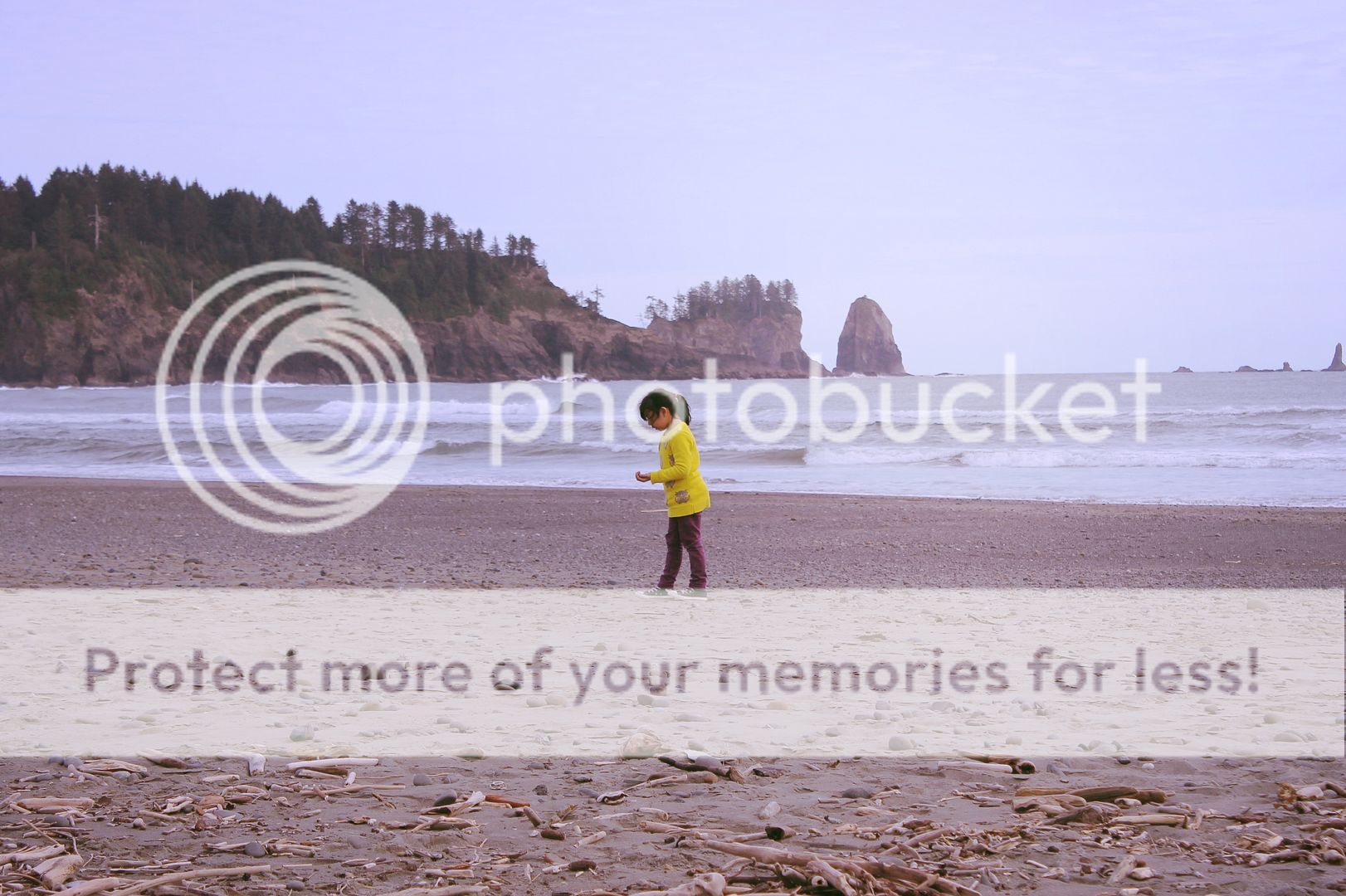  photo 1a049602-3fea-4eb6-8ba5-a81d8773ff85_zpsa94a2866.jpg