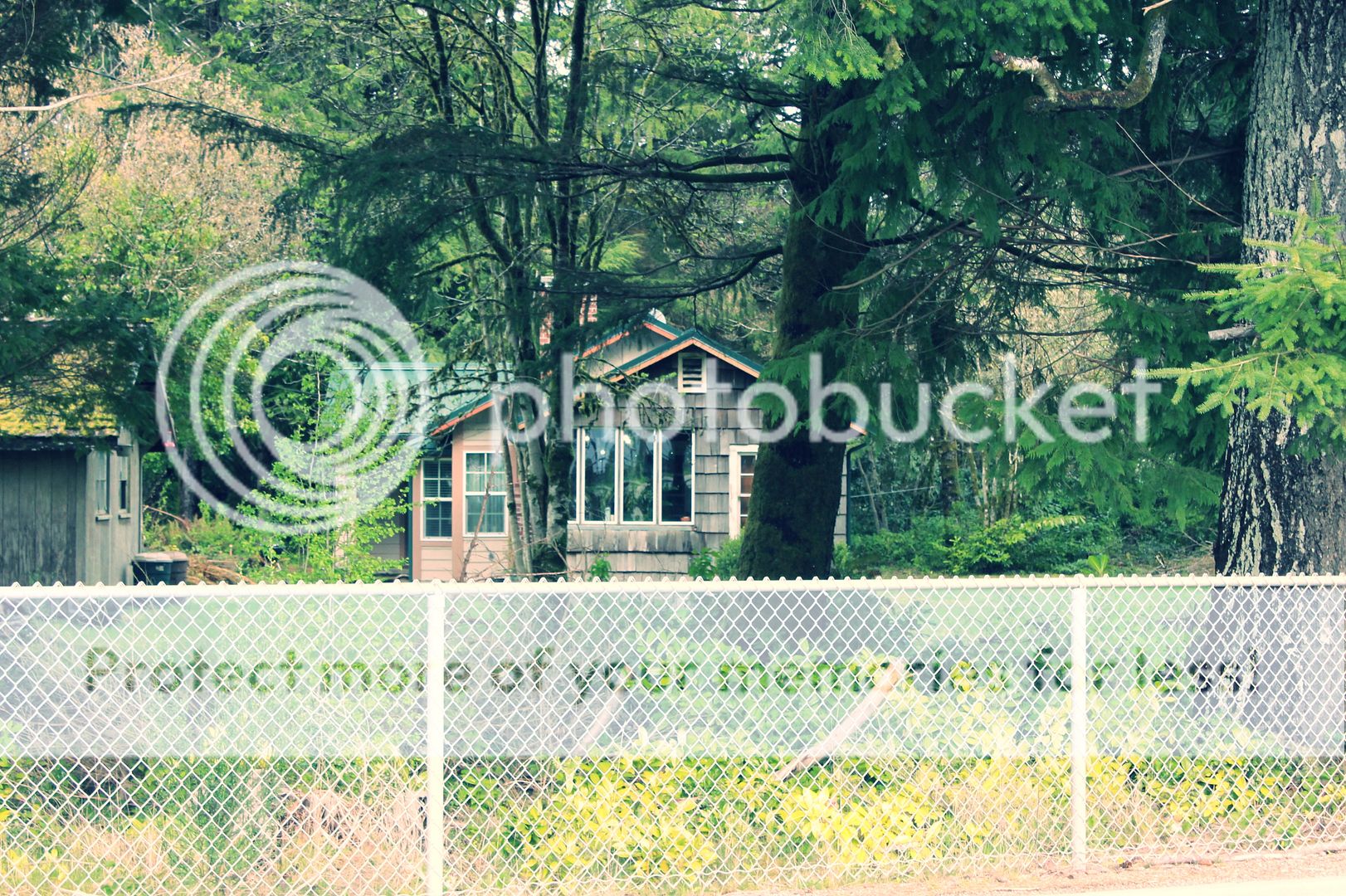  photo 26c05c4b-3d23-489a-bcaf-81a4d58388e8_zps0ba628f6.jpg