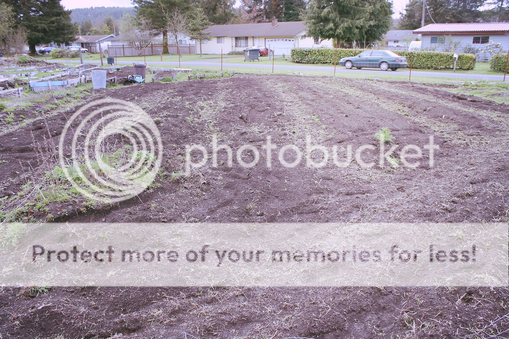 photo a0d9e4cf-2e4c-429b-8e21-a1bf6e0b5c25_zps211051c5.jpg