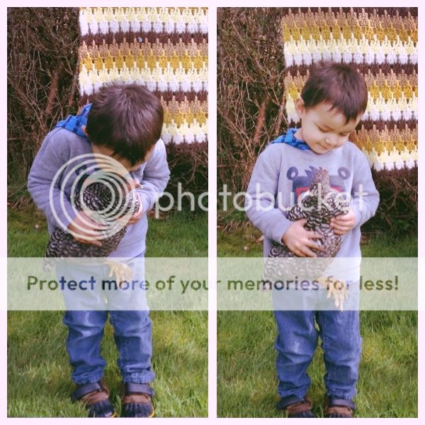 photo d2276400-ce0a-4165-9fca-2a12eeff8a9c_zps9365cbbb.jpg