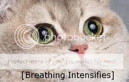breathing intensifies photo: (Breathing intensifies) Breathingintensifies_zps519945ed.jpg