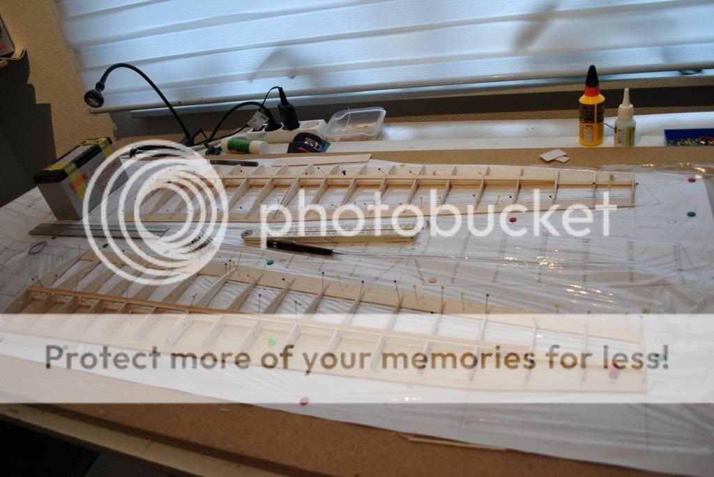 DSC_7889_zps15873ab3.jpg